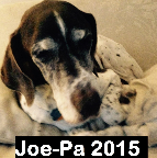 Joe-Pa Smith 1999 - 2015